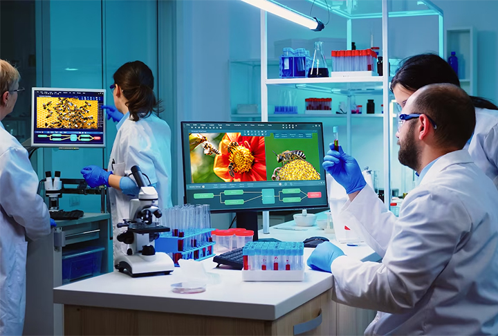 Por isso, cientistas vêm tentando desenvolver mecanismos que possam substituir, ou pelo menos se juntar às abelhas na polinização de plantas. 