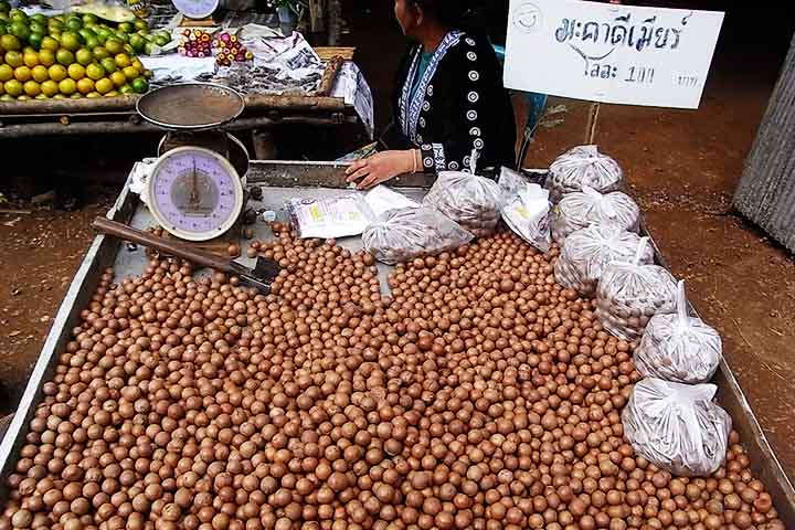 Esses compostos ajudam a diminuir a produção de substâncias inflamatórias que podem danificar as células e aumentar o risco de doenças cardíacas e câncer. Os tocotrienóis, uma forma de vitamina E, combatem o estresse oxidativo, prevenindo o envelhecimento precoce e protegendo a saúde celular.