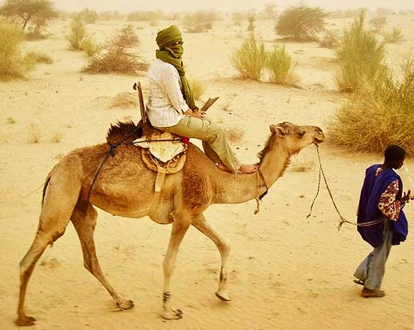 Sua resistência e capacidade de suportar condições extremas tornaram-os um símbolo de perseverança e uma parte essencial da vida cotidiana de muitas tribos e famílias.