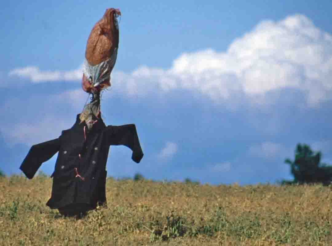 Cabeça alongada, bizarra. Garrat diz que alguns “criadores” não acham necessário haver uma expressão no rosto do espantalho para que ele espante os invasores das plantações. 