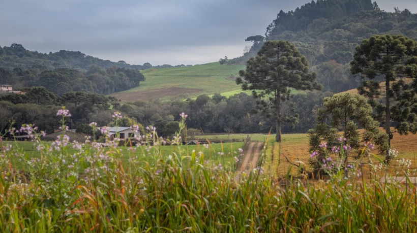 O Brasil tem diversas opções de destinos encantadores e aconchegantes para aproveitar o inverno (Imagem: lucasgamaral | Shutterstock) 