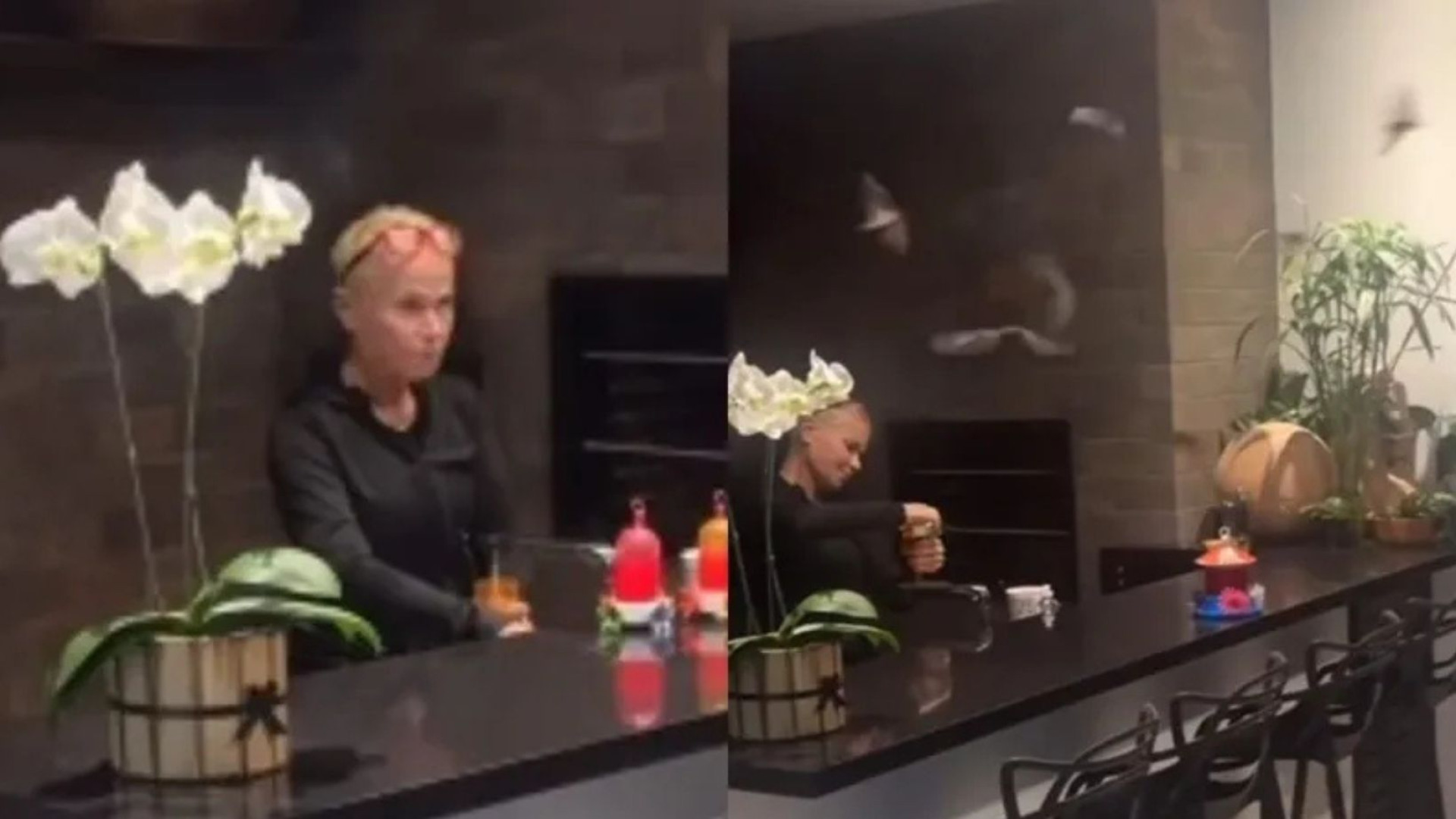 Em casa, Xuxa cuida de morcegos e vídeo viraliza nas redes