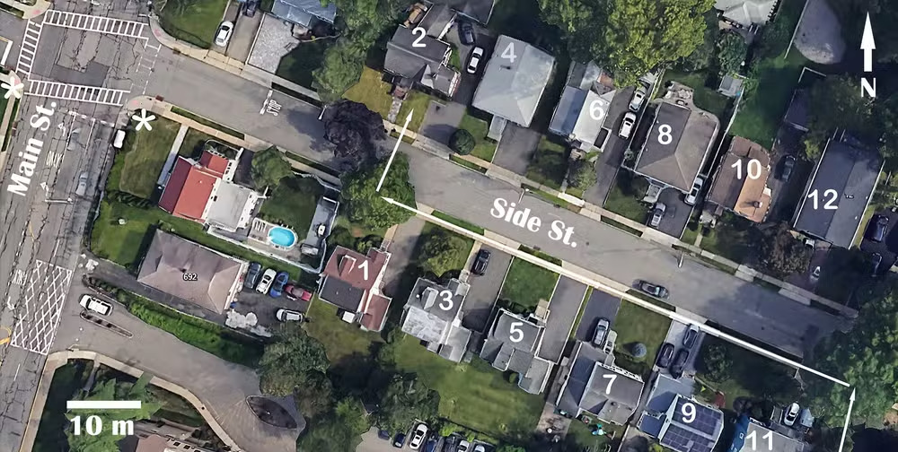 Segundo o pesquisador, moradores deixavam migalhas de pão perto da casa número 2 atraindo pardais, pombos e estorninhos, espécies que agradam ao gavião. E foi constatado que o gavião 
fazia os ataques quando tocavam os sinais sonoros da passagem de pedestres, parando o trânsito e facilitando as emboscadas.  