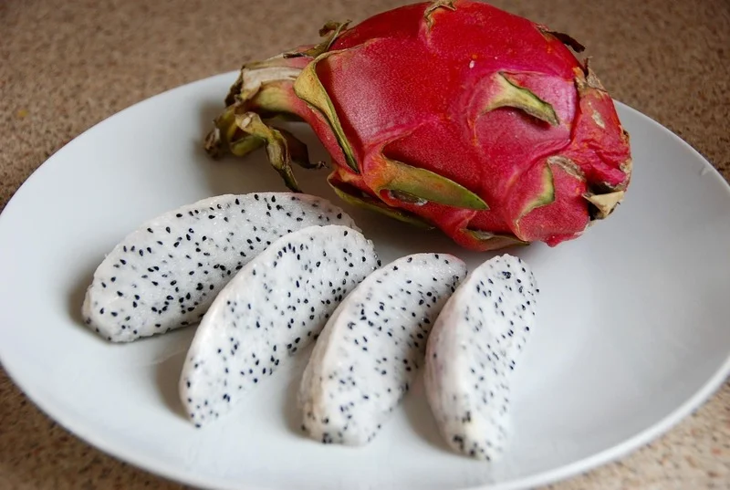Nesse sentido, cultivar pitaya em casa é uma forma vibrante de conectar-se com a natureza. Isso porque se fizer as escolhas certas, pode ter à disposição essa fruta exótica e saborosa.