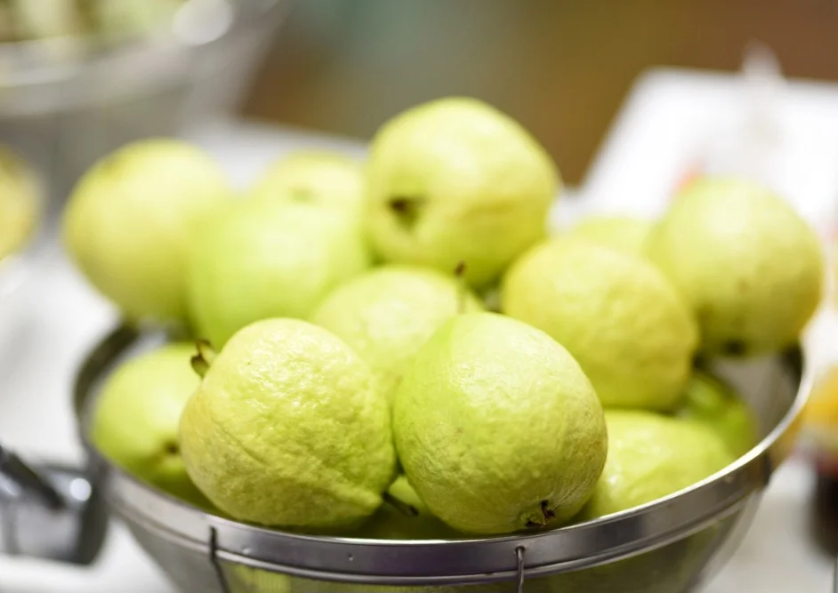 Essa fruta possui valor cultural e econômico em diversas comunidades, sendo protagonista em festas e celebrações, com memórias afetivas e tradições familiares.
