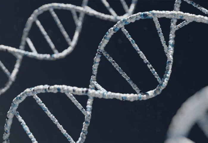 De acordo com reportagem da revista “Time”, a recriação do lobo-terrível pela empresa americana de biotecnologia não se deu pela reprodução total do DNA da espécie.
