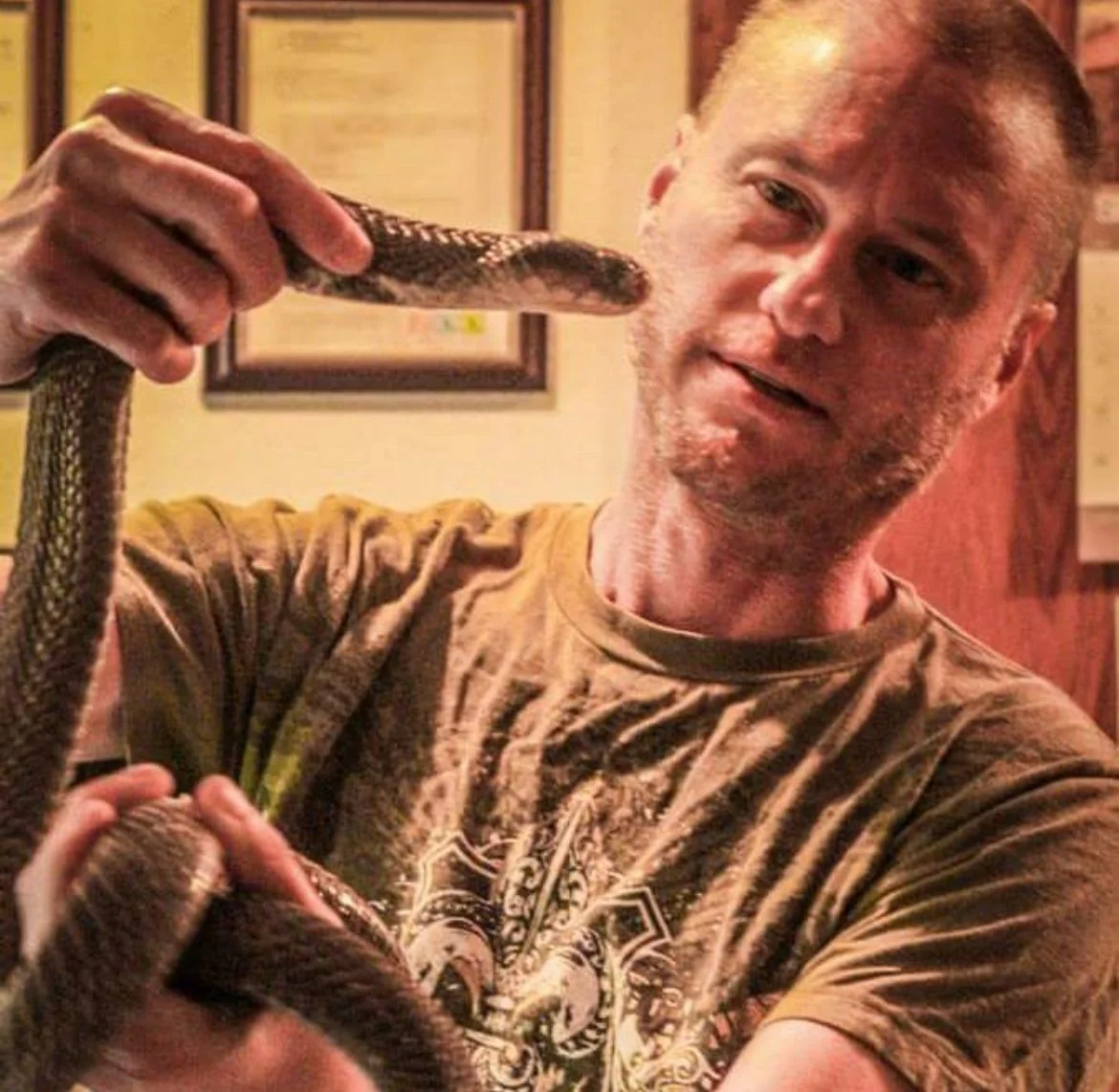 A equipe de cientistas testou dois anticorpos retirados de Tim Friede em camundongos. 