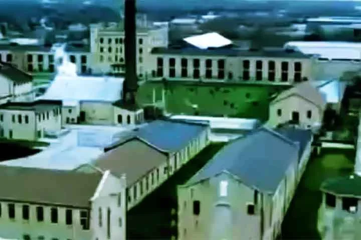 No entanto, em 2017, uma nova temporada foi produzida e exibida como um revival, com nove episódios e os personagens principais de volta em um novo contexto. Apesar de não ter causado o mesmo impacto das temporadas anteriores, a produção foi bem recebida por parte dos fãs.