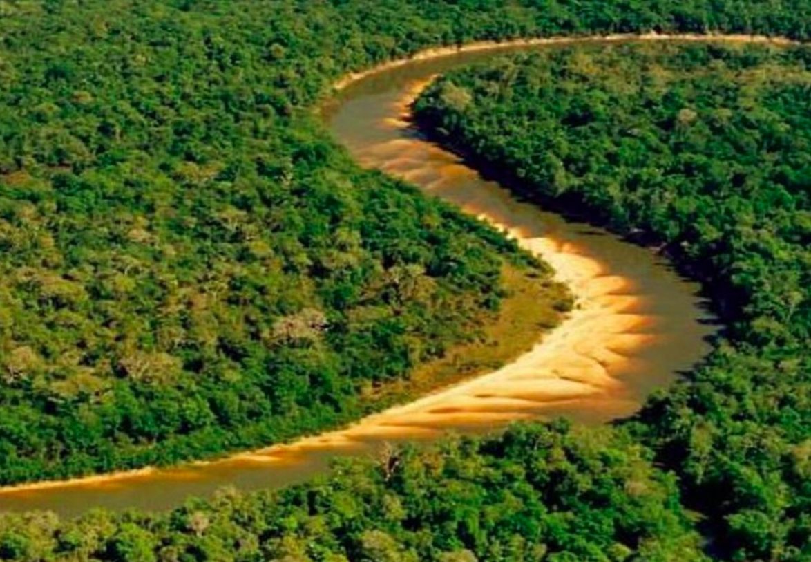 Além de ser a maior ilha genuinamente fluvial do mundo, a Ilha do Bananal também é considerada Reserva da Biosfera pela UNESCO desde 1993, e reserva ambiental brasileira desde 1959.
