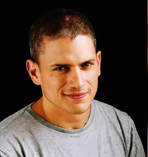 Antes de Prison Break, ele teve participações em outras produções, mas foi com essa série que sua carreira alcançou projeção internacional.