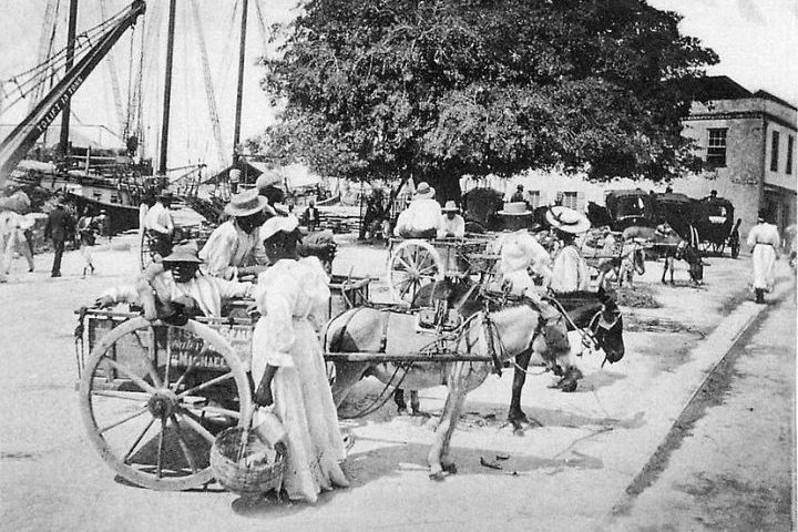 A história dos ônibus começou no início do século 19, quando surgiram os primeiros veículos de transporte coletivo puxados por cavalos.