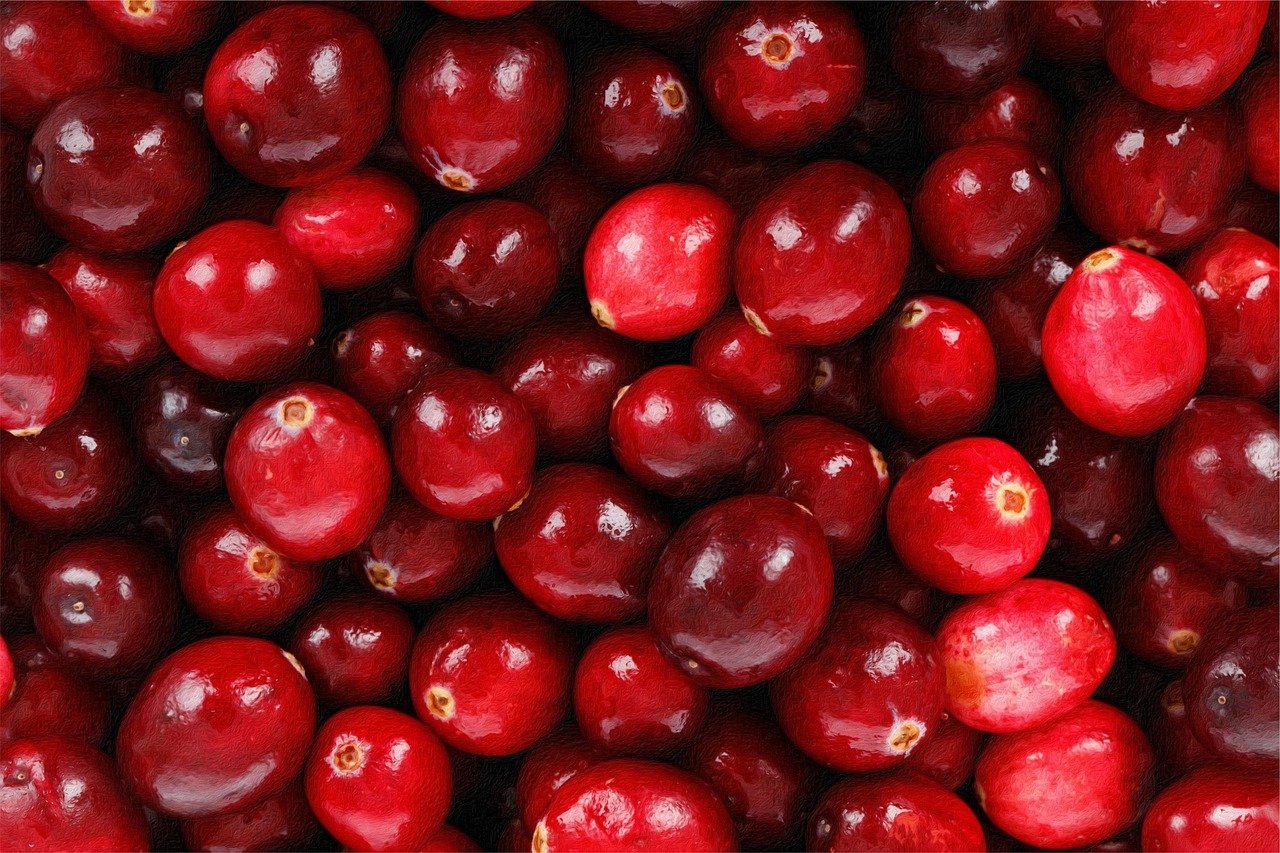 Cranberry - Cultivada principalmente nos EUA e Canadá, a cranberry tem sabor extremamente azedo e adstringente quando fresca. Rica em antioxidantes e ideal para prevenir infecções urinárias; é adoçada para virar sucos, geleias, snacks e molhos para carnes.