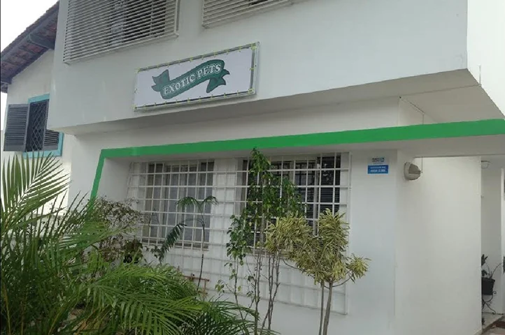 O louva-a-deus chamado de Karla foi levado pelo dono até a clínica veterinária Exotic Pets, em São Paulo, especializada no tratamento de animais não convencionais. 