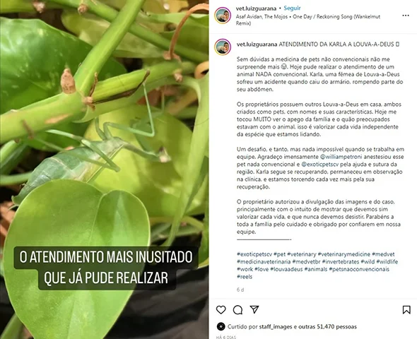 O veterinário Luiz Fernando Guaraná compartilhou o caso nas redes sociais, afirmando o quanto essa experiência foi especial.  Hoje, foi dia de fazer um atendimento inusitado, único, uma experiência completamente diferente de todas as outras.