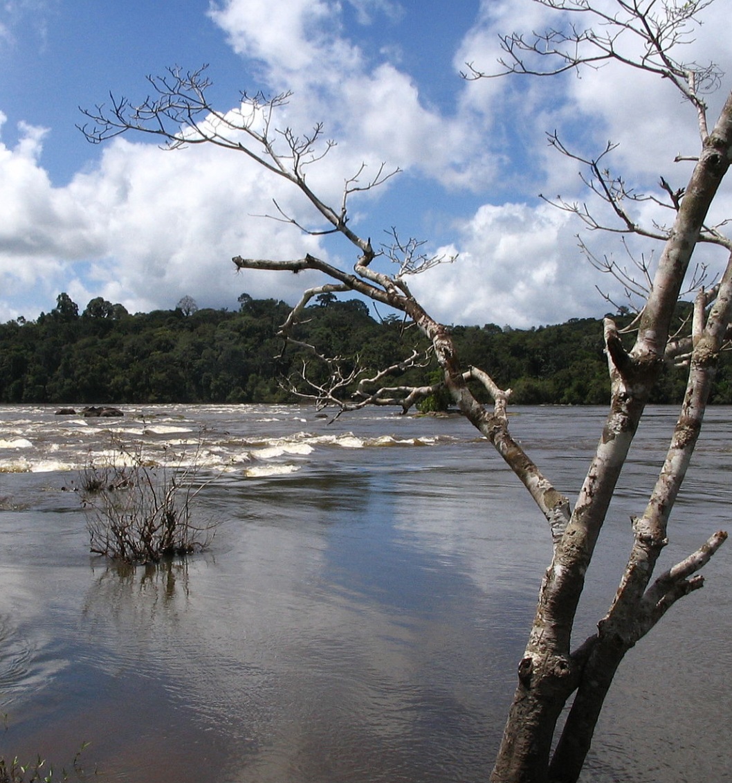 O Parque Nacional Montanhas do Tumucumaque é uma Unidade de Conservação de proteção integral da natureza localizada numa área que abrange seis municípios nos estados do Amapá e do Pará.