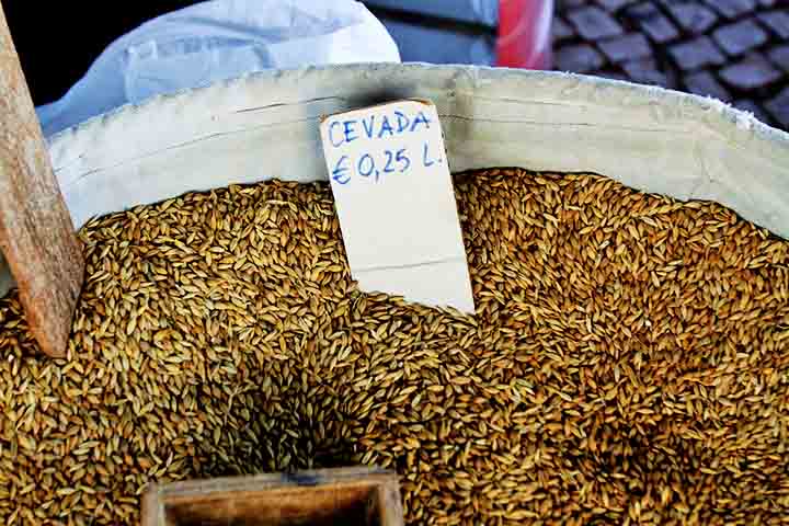 Ela, então, fornece muitos benefícios para a saúde, como o emagrecimento, assim como diminui o colesterol ruim, combate a prisão de ventre e mantém a saúde da tireoide.