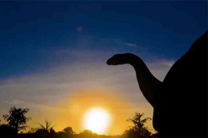 Entre os achados, estão os ossos do Uberabatitan ribeiroi, o maior dinossauro já descoberto no Brasil e um dos últimos titanossauros (do latim lagarto titânico) do planeta, que possui 27 metros de comprimento e 14 metros de altura no Museu dos Dinossauros de Peirópolis.