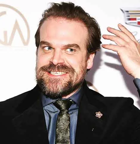 A série conquistou grande popularidade e Harbour recebeu fartos elogios da crítica. Pela sua performance na série ele foi laureado com o Critics’ Choice Television em 2018, além de ter recebido indicações ao Emmy e ao Globo de Ouro.

