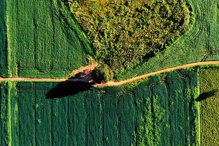 Povos indígenas que vivem nessas áreas declararam a pesquisadores que não passam por esses desenhos por os considerarem ambientes sagrados.
