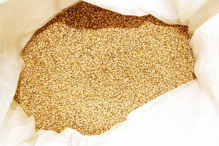 Dessa forma, ele consiste na germinação artificial do grão de cevada, processo feito em condições controladas de temperatura e umidade. Para que esse processo aconteça, é fundamental que o embrião esteja vivo.