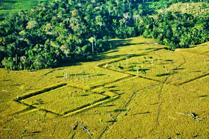 Os formatos podem ser retangulares, triangulares, circulares ou de outros aspectos. 
