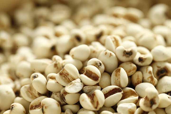 Na medicina tradicional chinesa, a cevada é usada para tratar inflamações, febres, problemas do fígado. Afinal, ela é nutritiva, ligeiramente laxativa, alcalinizante, anti-escorbútica, anti-térmica, depurativa, diurética, emoliente, expectorante, tónica e digestiva.