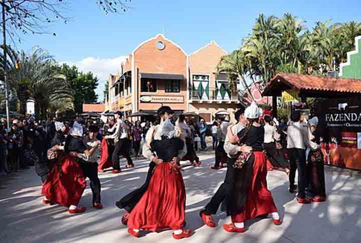 Assim, o Brasil foi o país escolhido por milhares de imigrantes por ser o único a permitir a imigração em grupos. Inclusive, o nome “Holambra” surgiu da junção de Holanda, América e Brasil. 