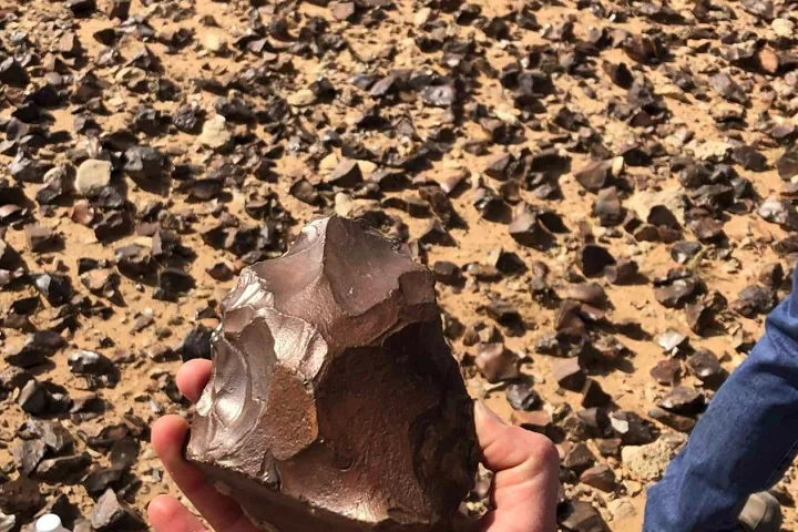 A busca revelou ferramentas feitas com a técnica de Levallois, utilizada pelos Neandertais e humanos primitivos há cerca de 300 mil anos.