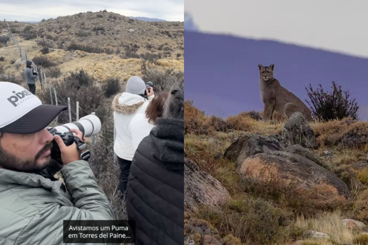 Marcello Cavalcanti participava de uma expedição no Parque Nacional Torres del Paine, no Chile. 