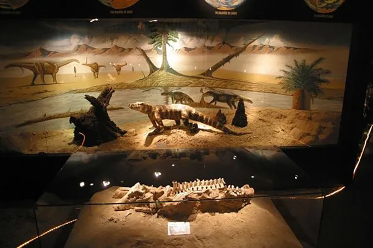 De acordo com o SGB, na área foram descobertos fósseis de grandes carnívoros terópodes, como o Abelissauro (Abelisaurus comahuensis), com cerca de oito metros de altura, além de crocodilomorfos, como o Uberabasuchus terrificus
