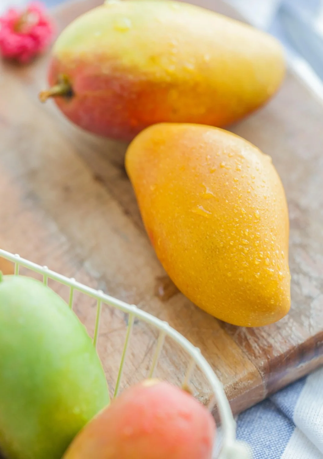 As fibras presentes na manga ajudam a regular o intestino, prevenindo a constipação e promovendo uma melhor saúde digestiva. Possui também na sua composição a mangiferina e a benzofenona que tem efeito protetor para o estômago.
