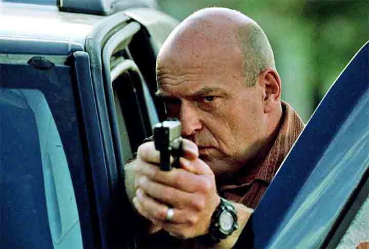 Outros membros do elenco, como Anna Gunn (Skyler White), Dean Norris (Hank Schrader) e Bob Odenkirk (Saul Goodman), também contribuíram significativamente para a profundidade e complexidade da série.