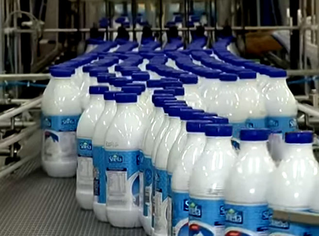 O leite de vaca tende a ser modificado devido ao seu alto valor e demanda constante. Fraudes comuns incluem a adição de água para aumentar o volume e a inclusão de substâncias como amido ou melamina para alterar as propriedades nutricionais e químicas.