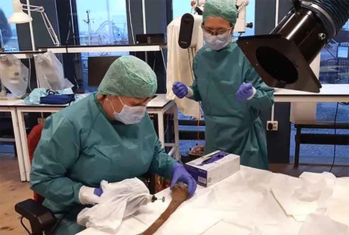 “Para nós, é interessante e desafiador estudar os esqueletos do Vasa. É muito difícil extrair DNA de um osso que está no fundo do mar há 333 anos, mas não é impossível”, declarou a professora de genética forense Maria Allen, em um comunicado à imprensa da Universidade de Uppsala, que analisa e tenta fazer identificações das ossadas. 
