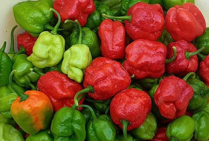 A pimenta em pó é normalmente misturada com corantes artificiais e especiarias mais baratas para reduzir custos e aumentar lucros.