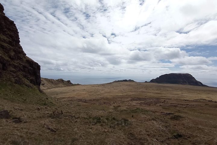 A adaptação bem-sucedida à ilha se deve em parte à pré-adaptação climática do gado Jersey, já que as condições da Ilha de Jersey (seu local de origem) são semelhantes às da Ilha Amsterdã. 