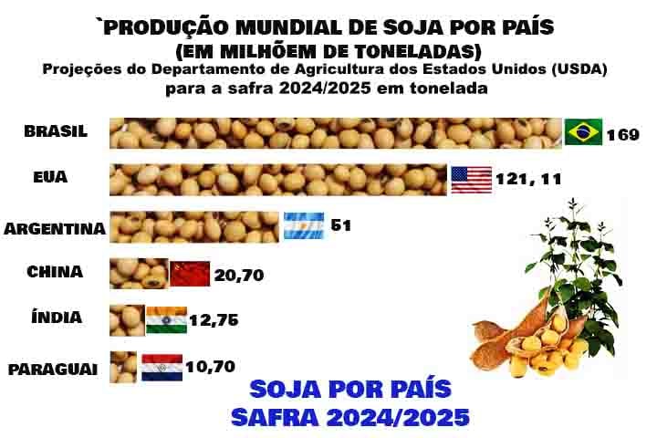 O Brasil é o maior produtor de soja do mundo. Mato Grosso, Rio Grande do Sul e Paraná são os maiores produtores de soja do país, seguidos de Goiás, Mato Grosso do Sul, Minas Gerais e Bahia.