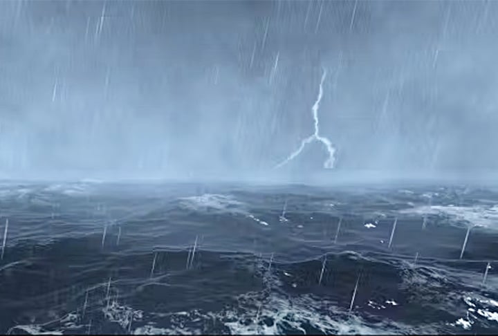 Uma tempestade teria danificado o sistema eletrônico do barco, que falhou, deixando o marinheiro e a cadela isolados no meio do oceano.