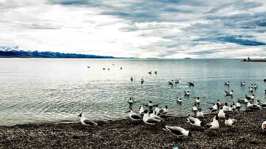 O Lago Qinghai (China) tem 4.317 km² e profundidade de até 32 m. Maior lago da China, suas águas alcalinas e a presença de ilhas abrigam aves migratórias, além de ser um importante destino de peregrinação tibetana.
