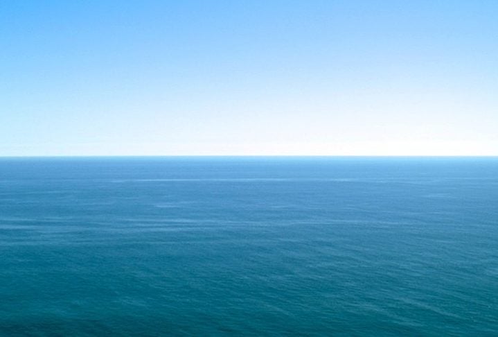 O mistério estava em torno de como as iguanas tinham conseguido cruzar o Oceano Pacífico, percorrendo quase 8 mil quilômetros desde a costa oeste da América do Norte.