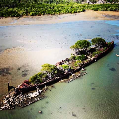 Os arbustos brotaram no interior do casco enferrujado do antigo navio e formaram um manguezal. Por isso, observado à distância o cenário se assemelha ao de uma ilha.. 
