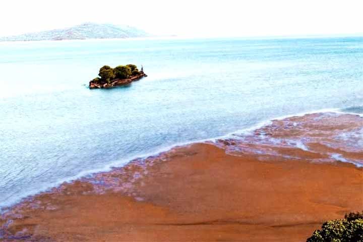 Por isso, a tendência é que com o tempo reste somente a vegetação que atualmente toma quase toda a carcaça do City of Adelaide.

