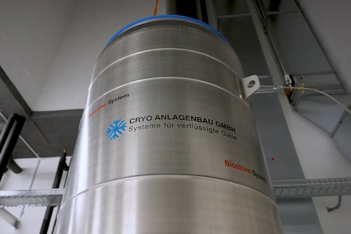 Apesar disso, algumas clínicas especializadas oferecem o procedimento nos Estados Unidos, na Alemanha e na Rússia.