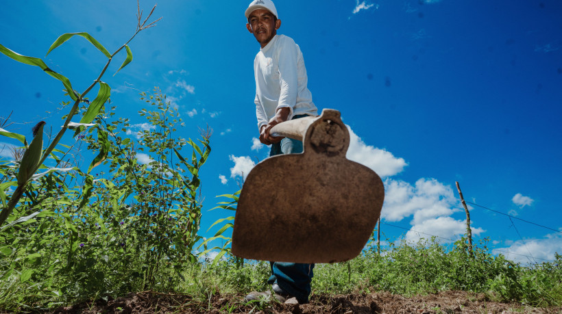 Imagem de apoio ilustrativo. Redação de aplicação especial do Enem 2025 no Pará teve como tema a valorização dos trabalhadores rurais