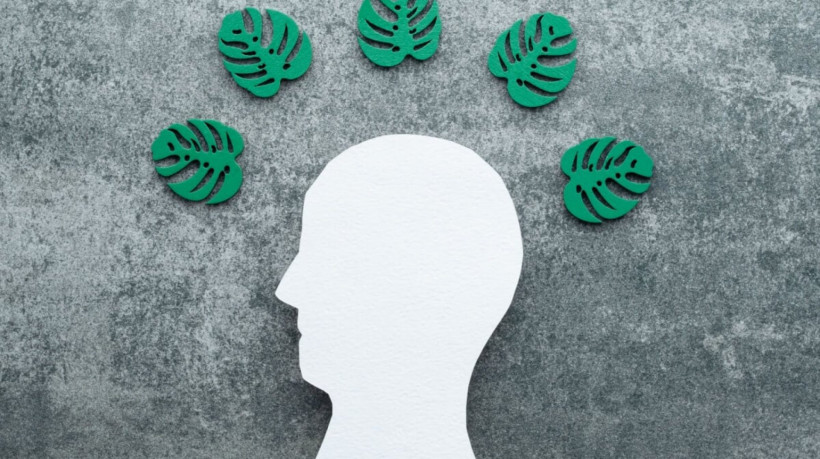 Tristeza, ansiedade e depressão são sinais comuns da solastalgia (Imagem: HalynaRom | Shutterstock)