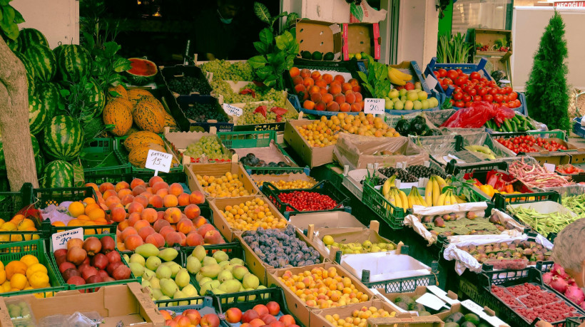 Cardápios que privilegiam verduras, legumes, frutas, grãos e sementes ajudam a combater inflamações capazes de desencadear danos em estruturas cerebrais