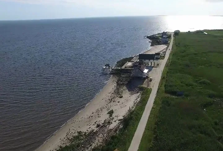 Além disso, atividades como a pesca têm agravado a situação. Na Baía de Delaware, nos Estados Unidos, as populações caíram em até 75% desde os anos 1980.