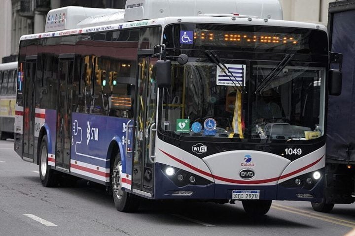 Atualmente, a indústria investe em modelos sustentáveis (elétricos/hidrogênio), como os da BYD, Mercedes-Benz e Volvo, focando em eficiência energética. 