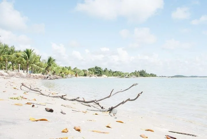 A construção da casa surgiu da preocupação com o descarte irregular de resíduos, especialmente garrafas de vidro, na comunidade da Praia do Sossego.