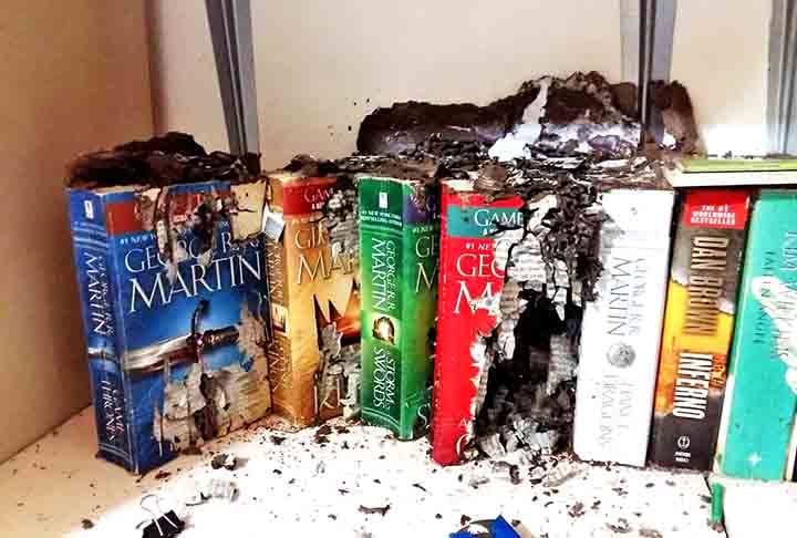 Cupins preocupam tanto no campo quanto na cidade, pois destroem estruturas de madeira, móveis e documentos, podendo causar grandes prejuízos. Veja informações sobre esse inseto minúsculo, mas destrutivo.